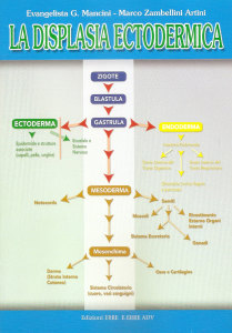 la-displasia-ectodermica-marco-zambellini-artini-evangelista-mancini